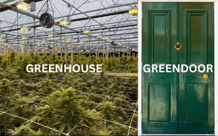 Is It “Greendoor” or Greenhouse? Clearing Up the Confusion
